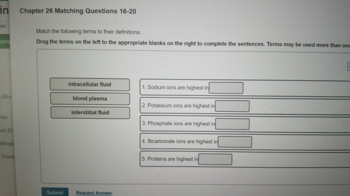 Chapter 13 matching questions 4-6