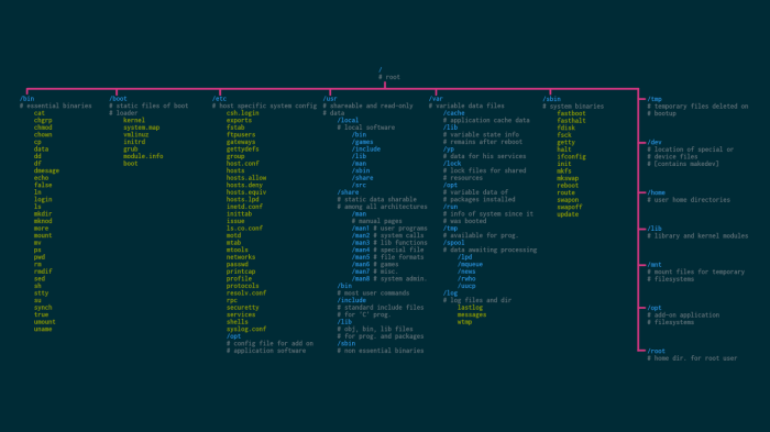 Lab 3-1: linux terminal navigation