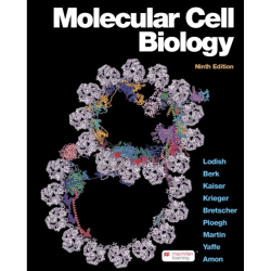 Molecular cell biology pdf 7th edition