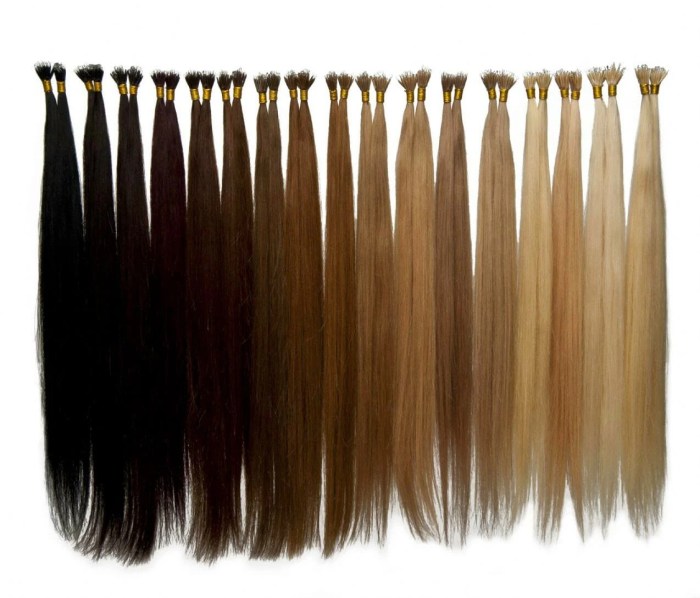 Hair extensions extension types methods different human extentions clip tip price natural type perth trix suppliers salon nano colour guide