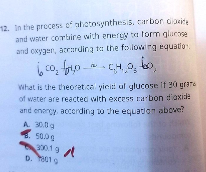 Glycolysis glucose gluconeogenesis cellular pathway pyruvate respiration atp catabolism metabolic acid occur anaerobic used cscs questions biochemistry permission metabolism pathways