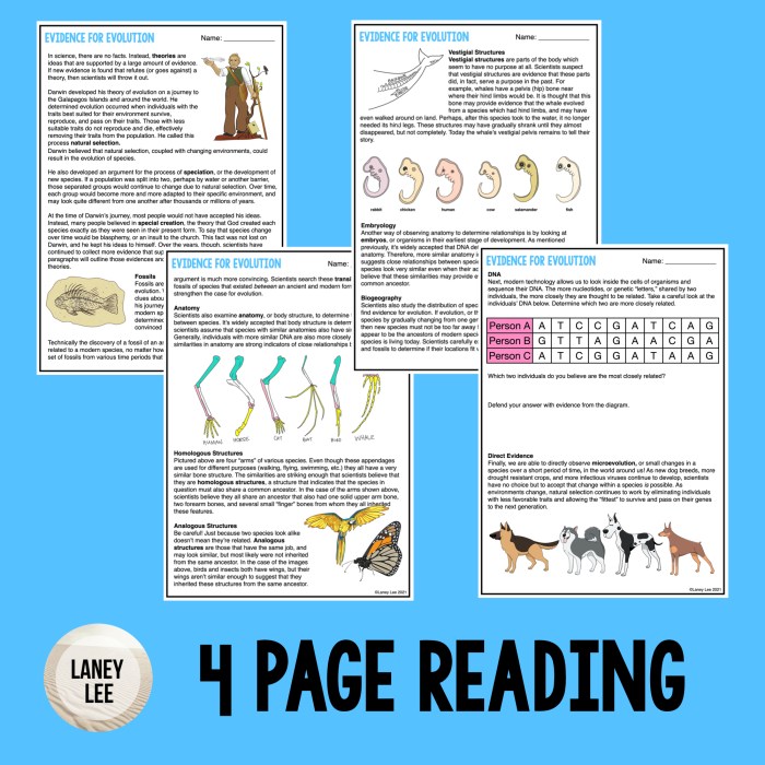 Answer key evidence of evolution worksheet answers