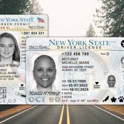 Test permis de conduire new york en français