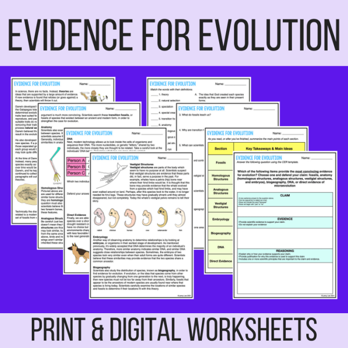 Answer key evidence of evolution worksheet answers