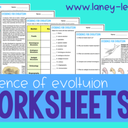 Answer key evidence of evolution worksheet answers