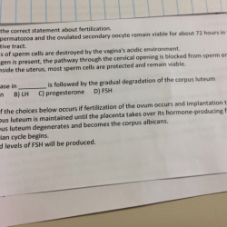 Select the correct statement about fertilization