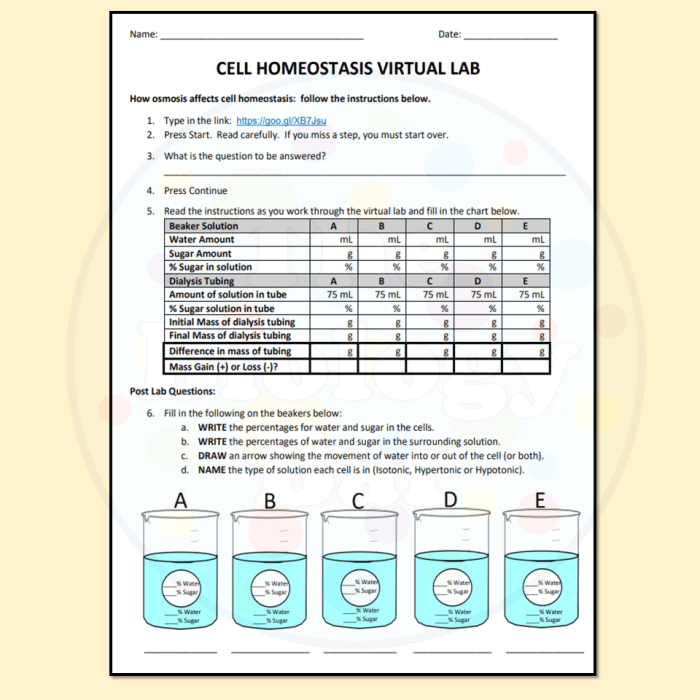 Cell homeostasis virtual lab worksheet answers