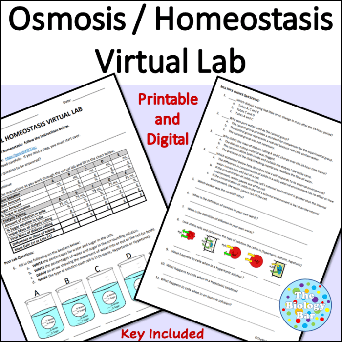 Cell homeostasis virtual lab worksheet answers